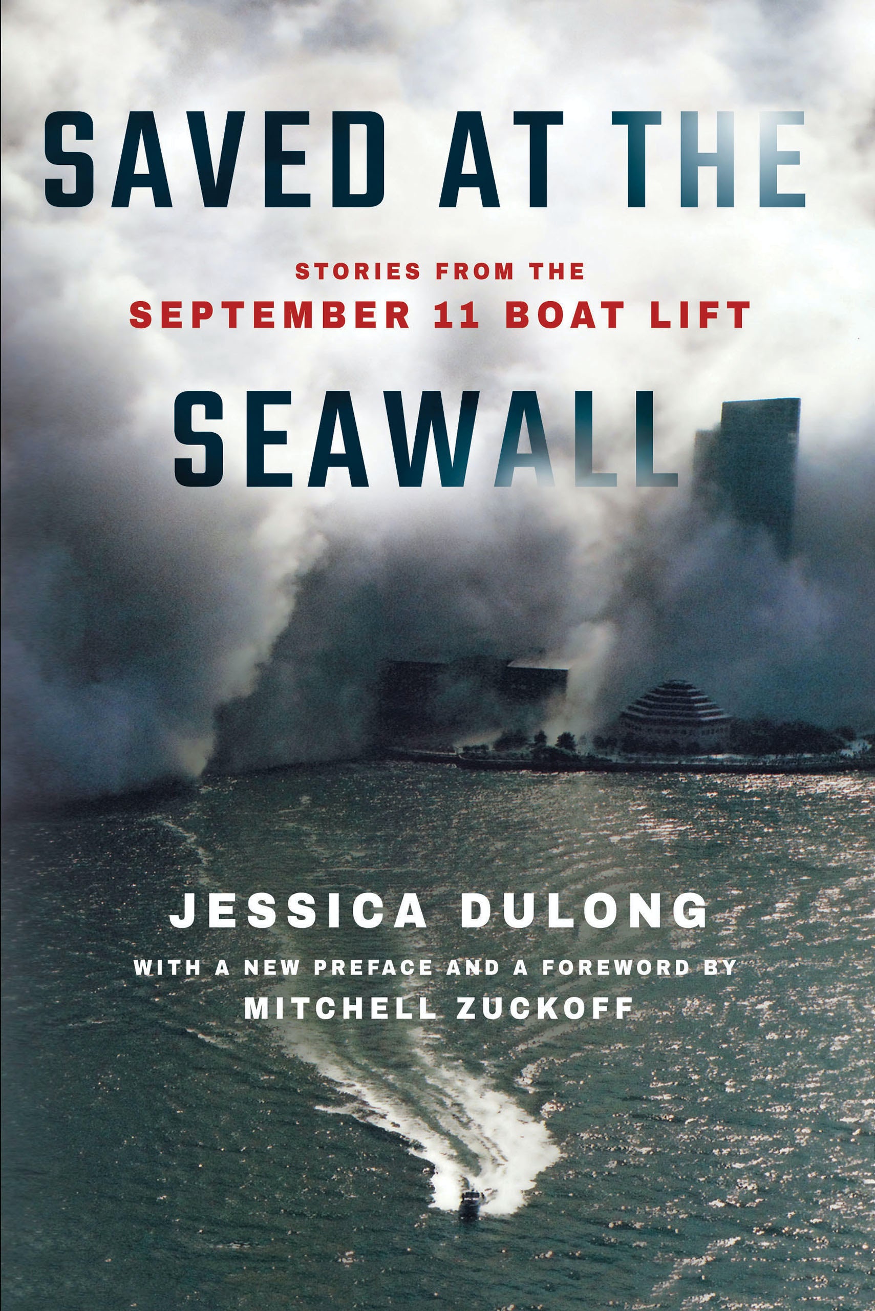 Saved at the Seawall Book Cover